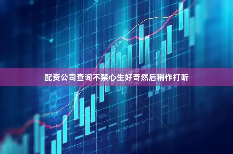 配资公司查询不禁心生好奇然后稍作打听